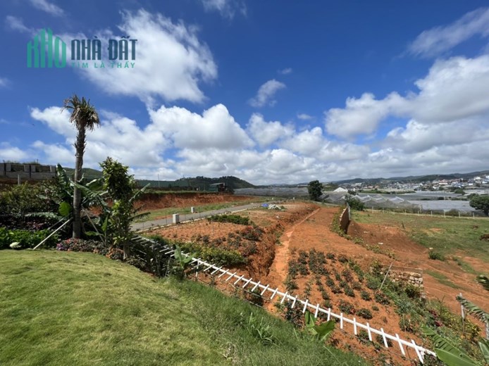 BÁN ĐẤT NỀN THỊ TRẤN LẠC DƯƠNG - HUYỆN LẠC DƯƠNG - LÂM ĐỒN