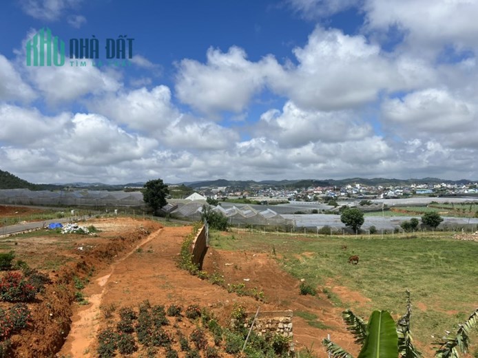 BÁN ĐẤT NỀN THỊ TRẤN LẠC DƯƠNG - HUYỆN LẠC DƯƠNG - LÂM ĐỒN
