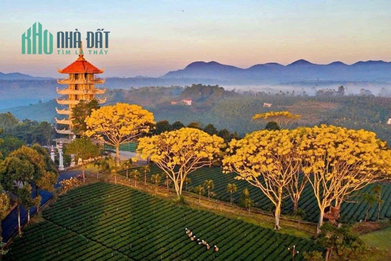 Mua đất tặng homestay trị giá 300tr, view cực đỉnh săn mây thỏa thích