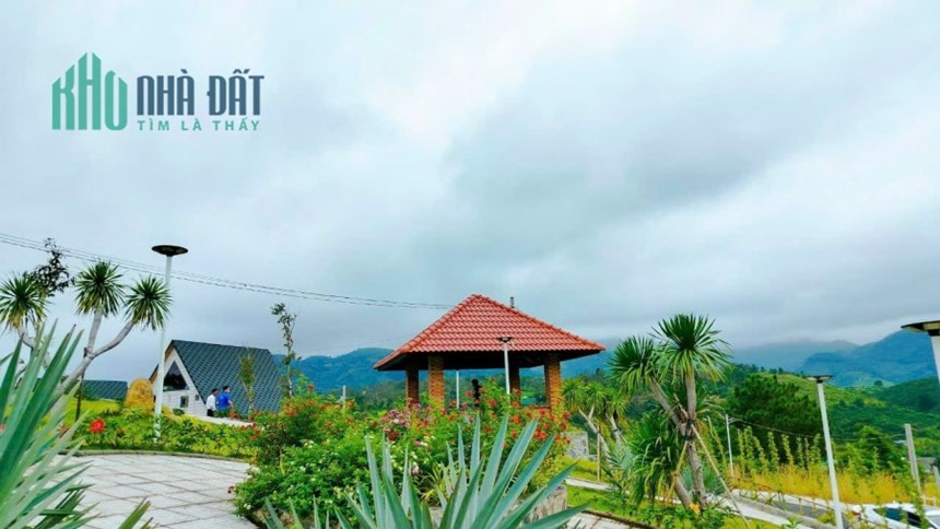 Mua đất tặng homestay trị giá 300tr, view cực đỉnh săn mây thỏa thích
