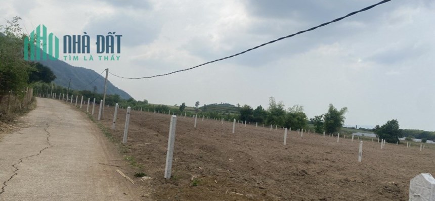 BÁN ĐẤT SƠN PHƯỚC, PHÚ YÊN 500M2 GIÁ CHỈ 290TR