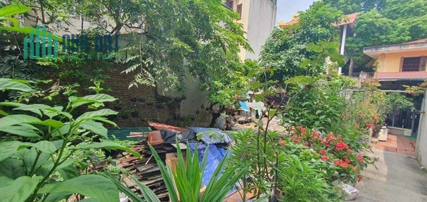 Nhà Đất, Xuân Canh,Đông Anh, 238m2 full thổ cư,Mt 6m,Giá Siêu Mượt 5,1 tỷ.