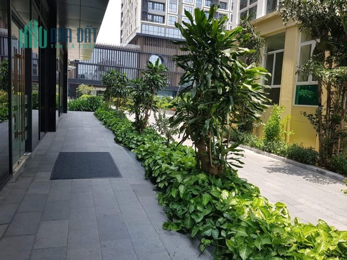 CHỈ 4 TỶxx CÓ NGAY CCCC VỊ TRÍ DẸP NHẤT QUẬN HAI BÀ TRƯNG