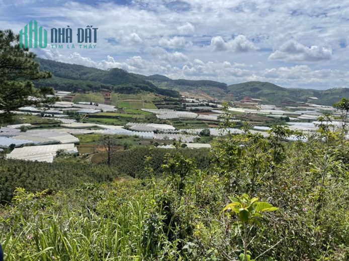 ĐẤT ĐẸP - GIÁ TỐT - Cần Bán Lô Đất Vị Trí Đắc Địa Tại LangBiang