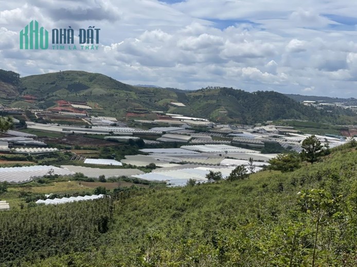 ĐẤT ĐẸP - GIÁ TỐT - Cần Bán Lô Đất Vị Trí Đắc Địa Tại LangBiang