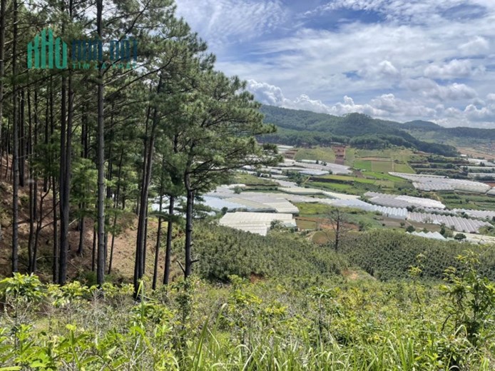 ĐẤT ĐẸP - GIÁ TỐT - Cần Bán Lô Đất Vị Trí Đắc Địa Tại LangBiang