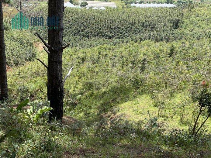 ĐẤT ĐẸP - GIÁ TỐT - Cần Bán Lô Đất Vị Trí Đắc Địa Tại LangBiang