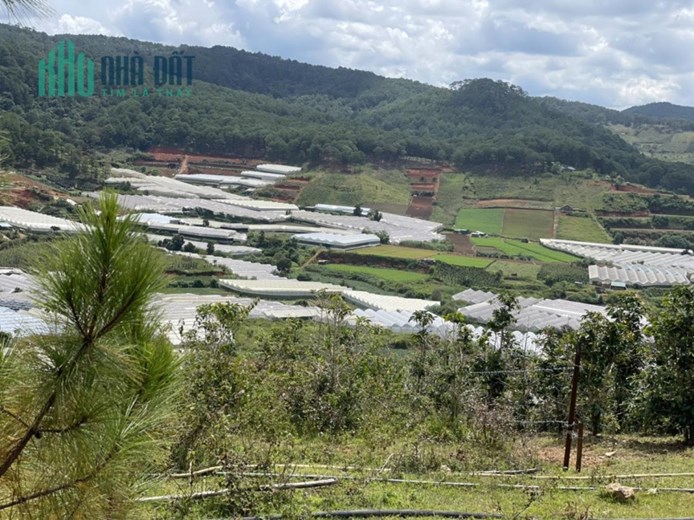 ĐẤT ĐẸP - GIÁ TỐT - Cần Bán Lô Đất Vị Trí Đắc Địa Tại LangBiang
