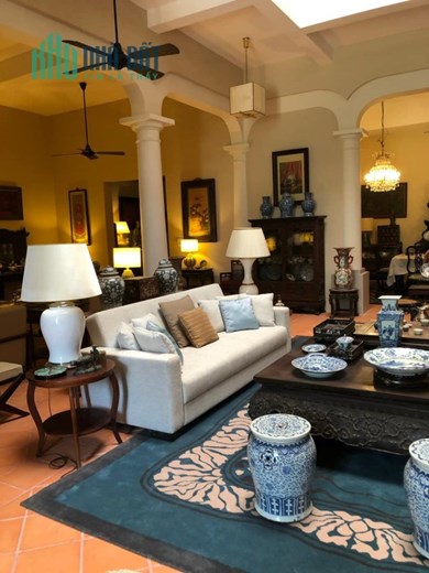 (CỰC PHẨM) BIỆT THỰ HẠNG SANG KĐT MỚI DỊCH VỌNG NGAY CÔNG VIÊN CẦU GIẤY 205M2, 4T, 55,6 TỶ