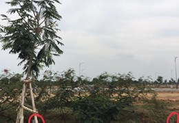 Bán đất nền dự án Biên Hòa Newcity, sát sân golf Long Thành, giá trị sinh lời cao, giá 2,3 tỷ