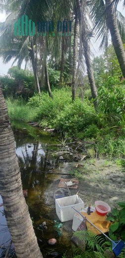 TÔI CẦN BÁN 3.700 M KIỆT 6 M ĐƯỜNG NGUYỄN LƯƠNG BẰNG ĐÀ NẴNG