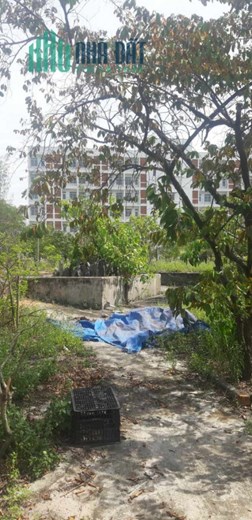 TÔI CẦN BÁN 3.700 M KIỆT 6 M ĐƯỜNG NGUYỄN LƯƠNG BẰNG ĐÀ NẴNG