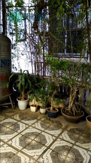 BÁN NHÀ HAI BÀ TRƯNG - ĐÊ TRẦN KHÁT CHÂN 20M 2 NGỦ 1 LỬNG - NGÕ THÔNG - SỔ RIÊNG - CHỈ 2 TỶ