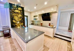 Bán nhà biệt thự phố Dương Đình Nghệ,Thành Thái 270 m2,5 t giá 70 tỷ