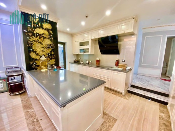 Bán nhà biệt thự phố Dương Đình Nghệ,Thành Thái 270 m2,5 t giá 70 tỷ