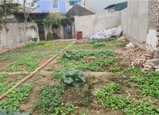 Bán mảnh đất tại Cao Xá Đức Thượng - S: 65 m2 mặt tiền 4,5 m - Giá chào chỉ 3 tỷ 2 - PB