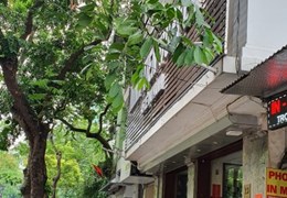 Bán nhà mặt phố Lê Đại Hành 42m, MT 4m, Cafe, KD đỉnh, giá 24 tỷ. LH: 0366051369