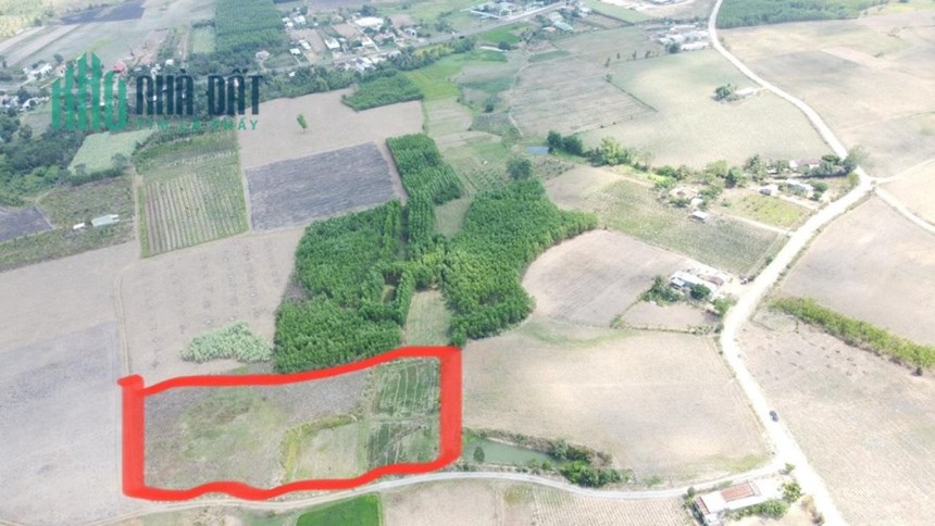 Cần bán đất diện tích 5700m2, đường 2 ô tô, tại Ninh Tây -Ninh Hoà