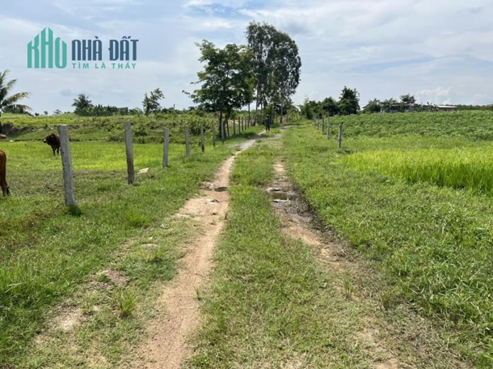 Cần bán đất diện tích 5700m2, đường 2 ô tô, tại Ninh Tây -Ninh Hoà