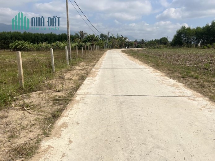 Cần bán đất diện tích 5700m2, đường 2 ô tô, tại Ninh Tây -Ninh Hoà