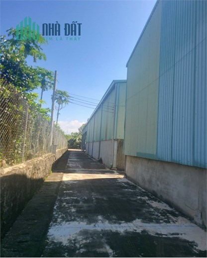 bán gấp nhà xưởng kèm đất trống đang trồng cây ăn trái , trạm điện lớn, qh toàn bộ SKC