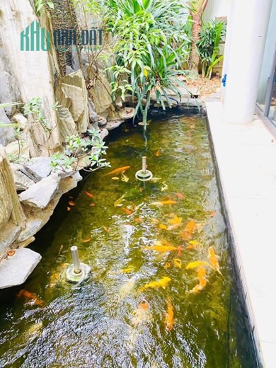 BIỆT THỰ SÂN VƯỜN ĐẲNG CẤP NHẤT CẦU GIẤY, TOÀN BỘ NỘI THẤT NHẬP KHẨU ĐỨC GIÁ TRỊ HƠN 20 TỶ. CẦN BÁN
