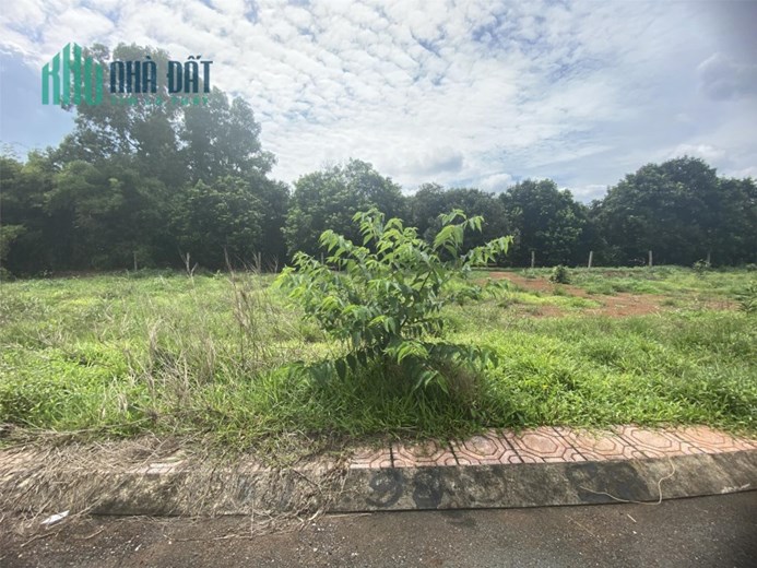 Bank Thanh Lý Đất MT Xe Hơi, Trảng Bơm, Đồng Nai, Giá Rẻ Như Choi