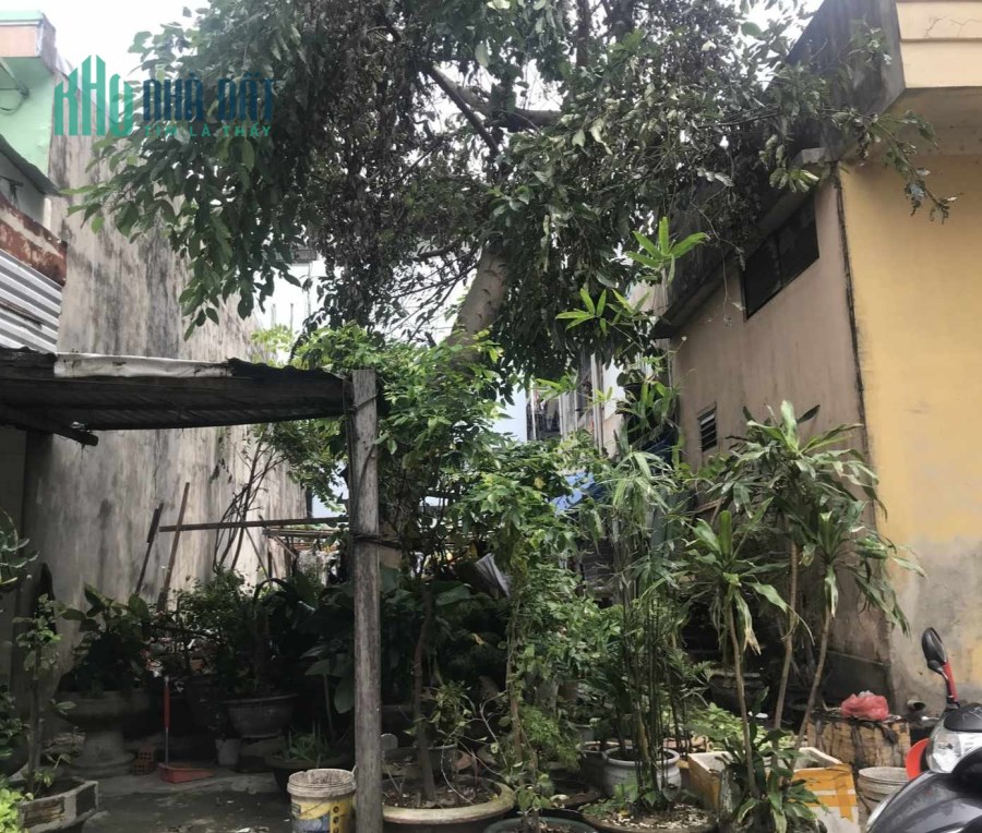Đất cách biển vài bước chân, Hòa Minh, Liên Chiểu, chỉ 3 tỷ hơn