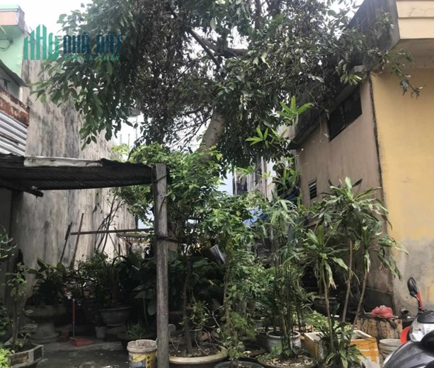 Đất cách biển vài bước chân, Hòa Minh, Liên Chiểu, chỉ 3 tỷ hơn