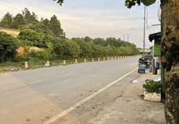 CHÍNH CHỦ CẦN CHO THUÊ KHO XƯỞNG 420M2. CÓ ĐIỆN 3PHA