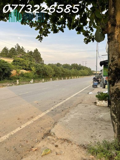 CHÍNH CHỦ CẦN CHO THUÊ KHO XƯỞNG 420M2. CÓ ĐIỆN 3PHA