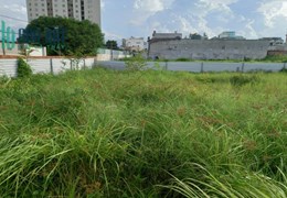 Bán đất THẠNH LỘC Phường Thạnh Lộc QUẬN 12, 1045 m2, Đường 4m, giá giảm còn 26 tỷ