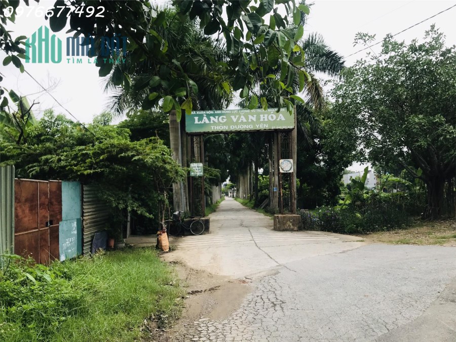 81m Đường Yên-Xuân Nộn đường thông ô tô đỗ giá bèo