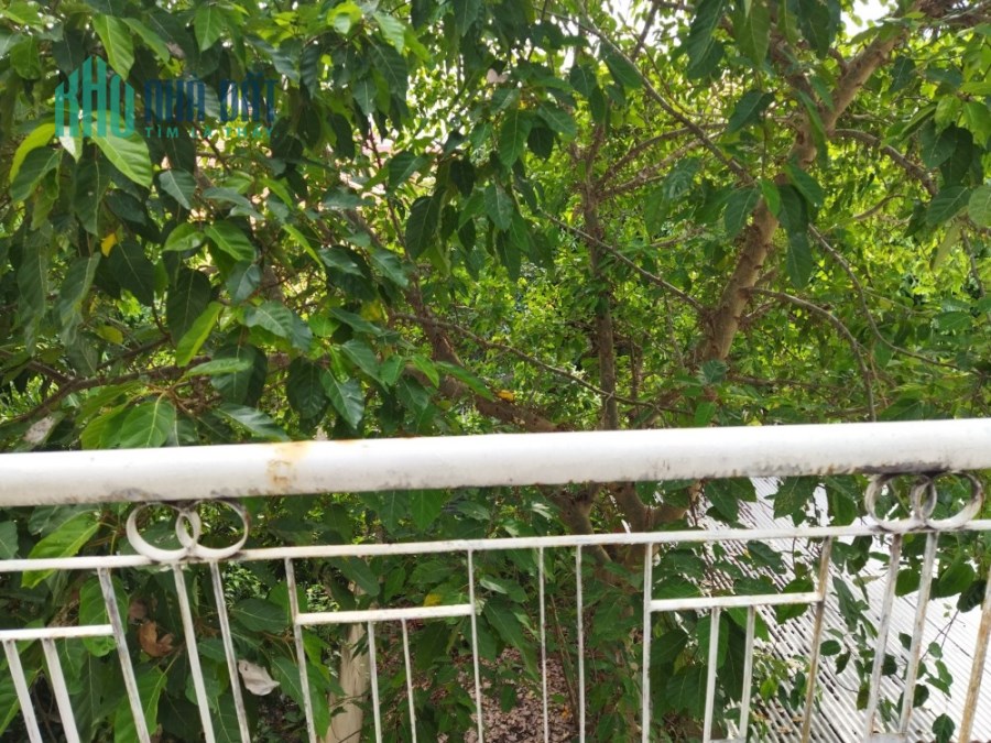 Bán Nhà Mặt Tiền Âu Cơ, Tân Sơn Nhì, Quận Tân Phú, 350m2, 8 x 45 x 4 Tầng, Giá 55 Tỷ Có Thương Lượng