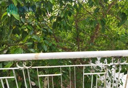 Bán Nhà Mặt Tiền Âu Cơ, Tân Sơn Nhì, Quận Tân Phú, 350m2, 8 x 45 x 4 Tầng, Giá 55 Tỷ Có Thương Lượng