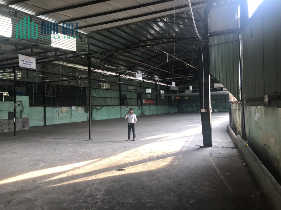 Địa chỉ số 185 Nguyễn Oanh, Gò Vấp. 1500m2 DTSD