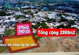Bán Đất mặt tiền đường lớn Lê Văn Khương Hóc Môn