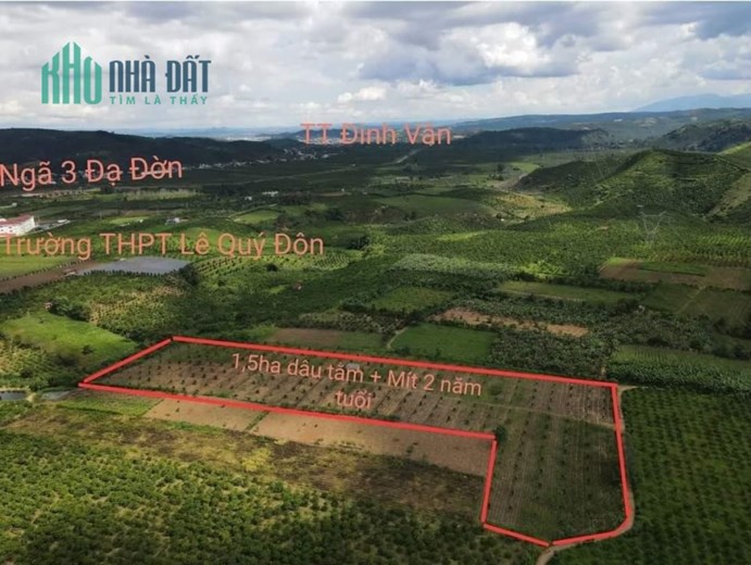 ĐẤT ĐẸP - GIÁ TỐT - Sở Hữu Ngay Lô Đất Vị Trí Đắc Địa Tại Xã Đạ Đờn, Huyện Lâm Hà, Lâm Đồng