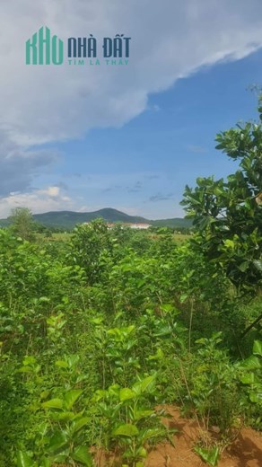 ĐẤT ĐẸP - GIÁ TỐT - Sở Hữu Ngay Lô Đất Vị Trí Đắc Địa Tại Xã Đạ Đờn, Huyện Lâm Hà, Lâm Đồng