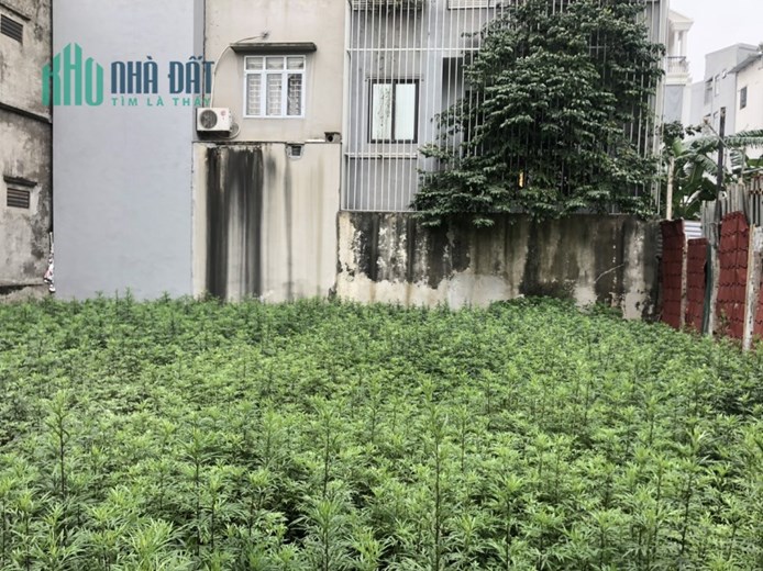 Bán đất Thạch Bàn, Ô tô, 70 m2, mặt tiền 8.1 giá chỉ nhĩnh 3 tỷ.