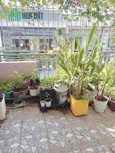 Hạ giá xuất cảnh bán nhanh nhà xinh 4.5 x 20m Phạm Thế Hiển Q8 TP.HCM