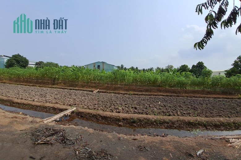 LÔ ĐẤT KHỦNG 4000M FULL THỔ HẾT 98%