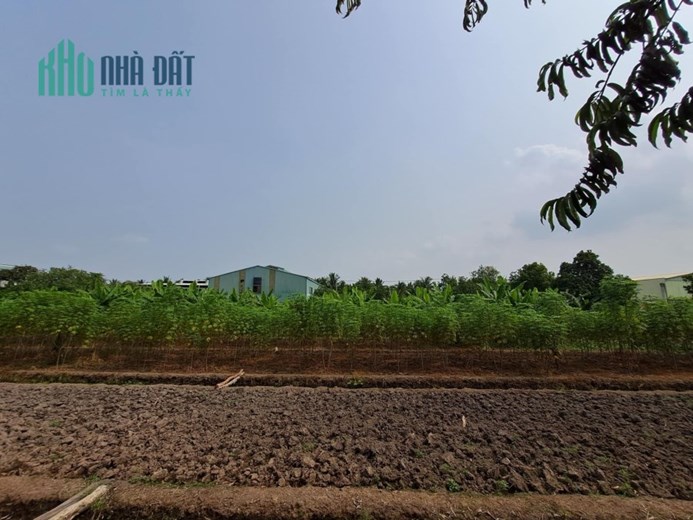 LÔ ĐẤT KHỦNG 4000M FULL THỔ HẾT 98%
