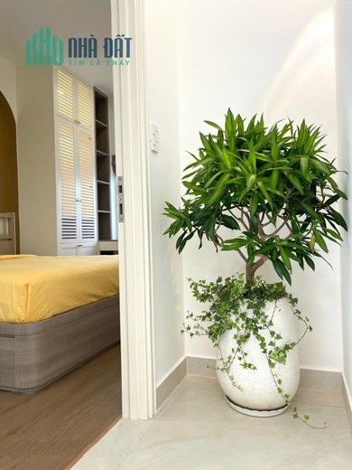Bán Homestay Đang Kinh Doanh - Mặt Tiền Đường - Cách Hồ Xuân Hương 400m