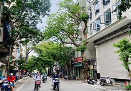 HIẾM-Chỉ 6Tỷ3 Mặt Phố Lê Quý Đôn-Vỉa Hè Rộng, Mặt Tiền Lớn, Kinh Doanh