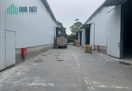 CHO THUÊ KHO, XƯỞNG TẠI KIM CHUNG. HOÀI ĐỨC. HÀ NỘI