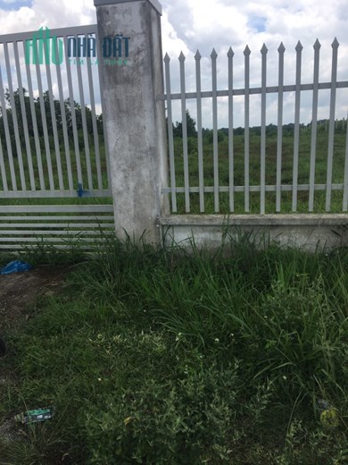 ĐẤT VƯỜN CHÍNH CHỦ - GIÁ TỐT !!! Bán Nhanh Lô Đất Tại Xã Hưng Lộc, Huyện Thống Nhất, Tỉnh Đồng Nai.