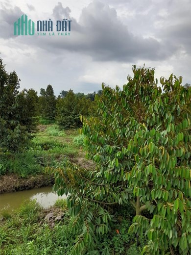 ĐẤT ĐẸP - GIÁ TỐT - Chính Chủ Cần Bán Lô Đất Mặt Tiền 922 - quận Ô Môn - TP Cần Thơ