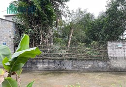CẮT LỖ SÂU 102M2 MẶT TIỀN 6M TẠI TÂN XÃ