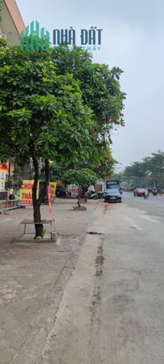 SIÊU PHẨM ĐẤT LÊ TRỌNG TẤN – SÁT CÂY XĂNG DƯƠNG NỘI HÀ ĐÔNG GẦN CHỢ LA CẢ - GẦN AEON HÀ ĐÔNG 35M